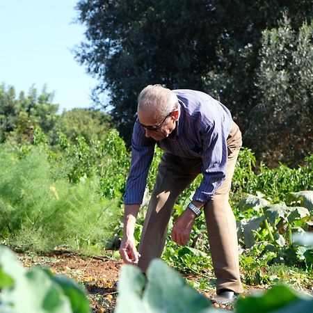 Masseria Grieco Ostuni Ngoại thất bức ảnh