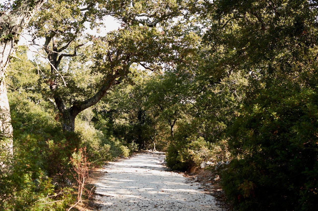 Masseria Grieco Bed & Breakfast Ostuni Ngoại thất bức ảnh